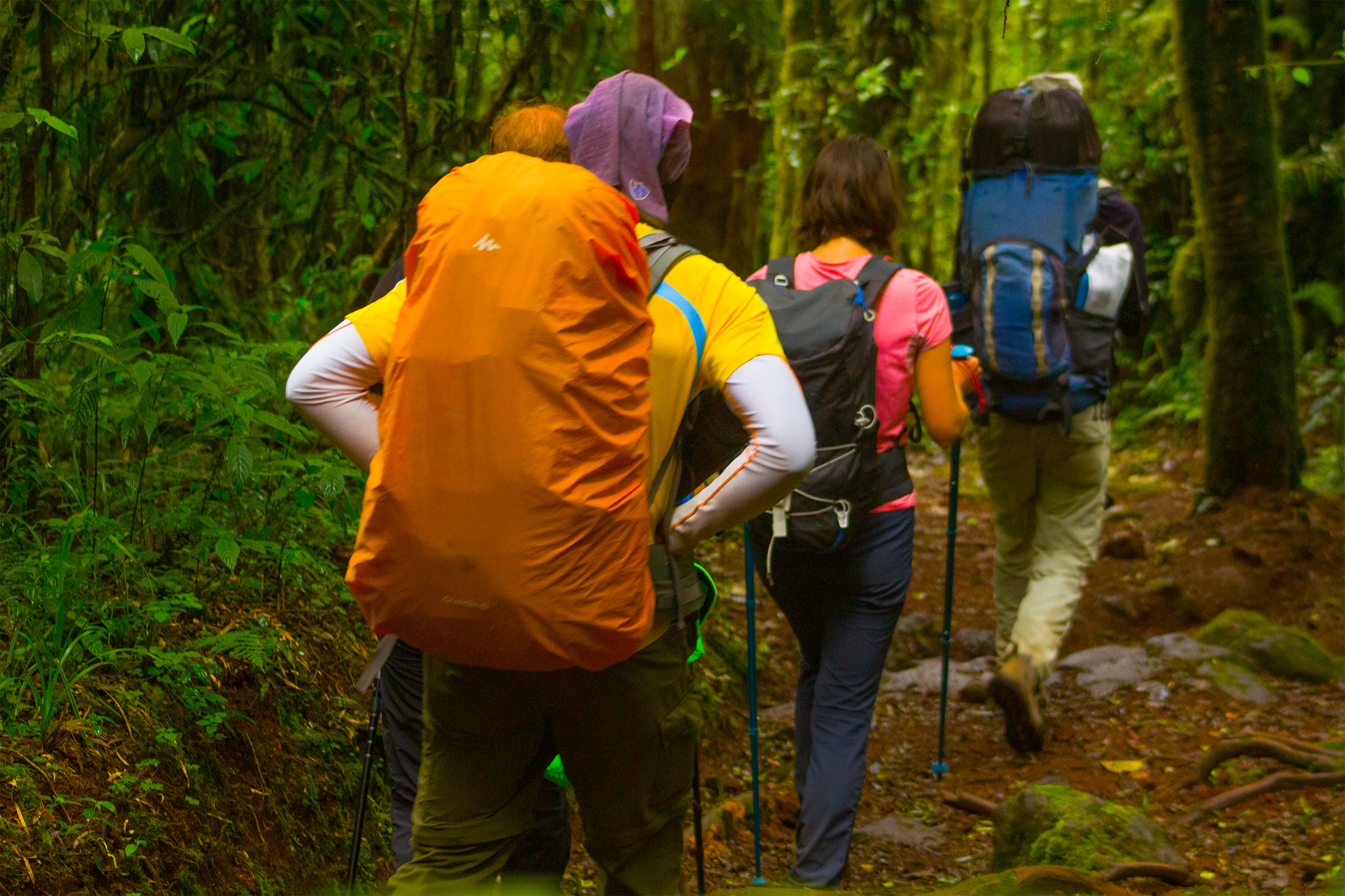 the best time to climb mount kilimanjaro